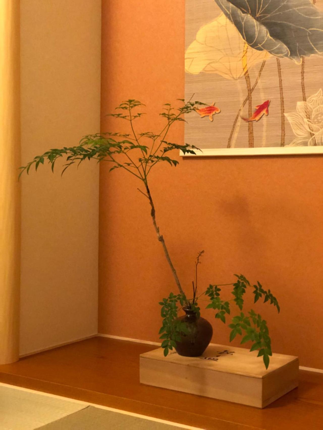 静雅の宿 Kyoto Luaran gambar